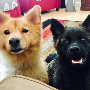 Meet your Posher, Cathy